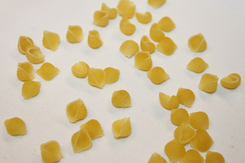 PASTA SEA SHELL SMALL 10 2 LB CASE