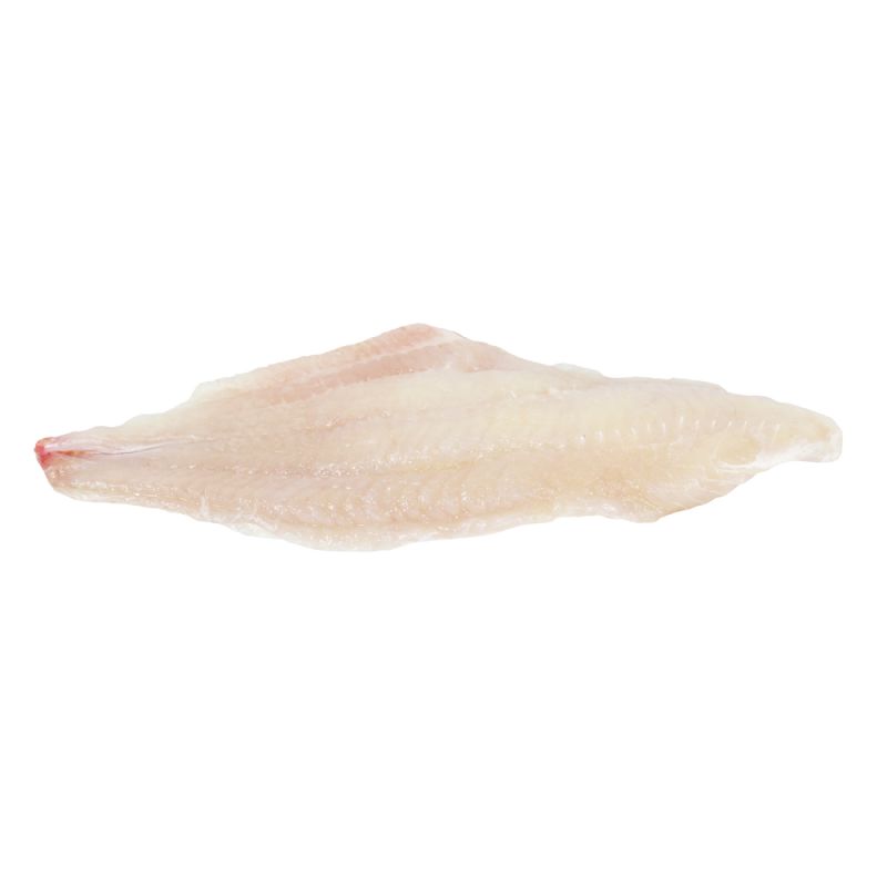 CATFISH FILLET IVP