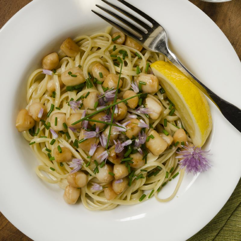 BAY SCALLOPS