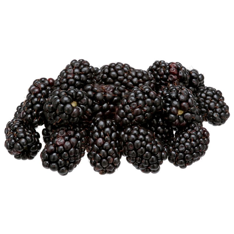 BLACKBERRY WHOLE IQF