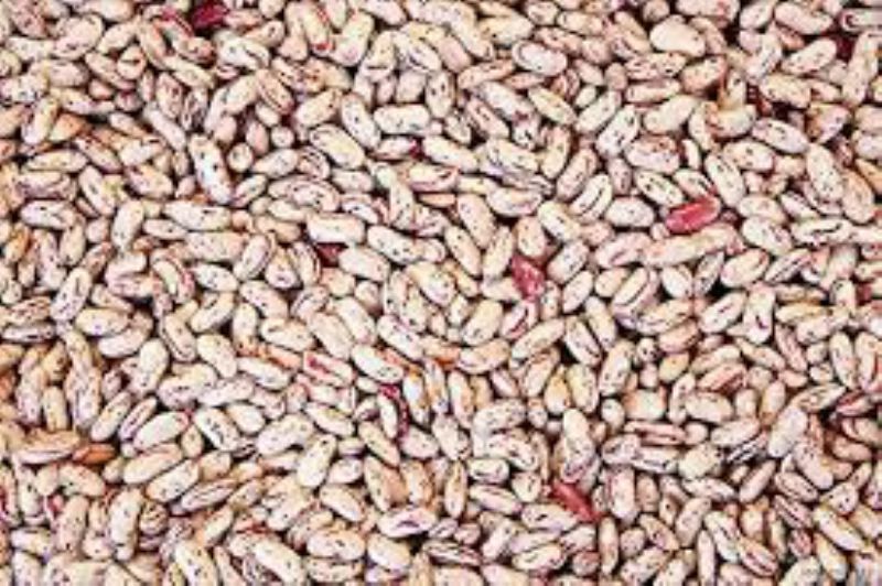 BEAN PINTO TRIPLE CLEANED DRY