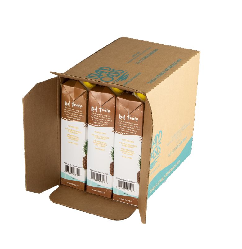 BAR MIX PINA COLADA ASEPTIC CS= 12 / 1 LT