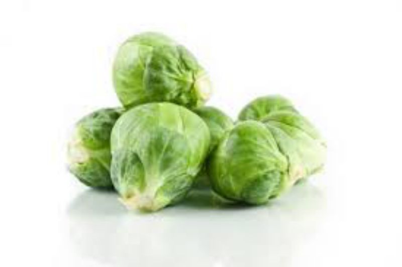 BRUSSEL SPROUT FRESH CS= 1 / 25#