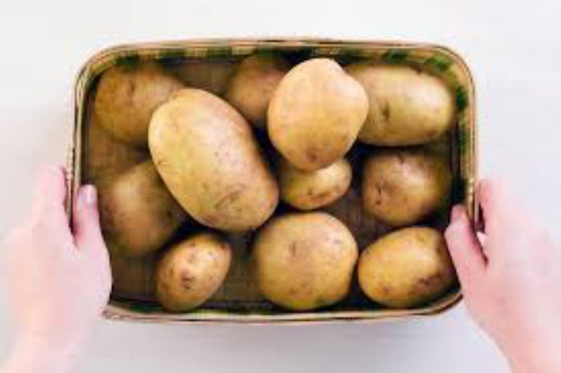 POTATO RUSSET 10 OZ #2 CS= 1 / 50#