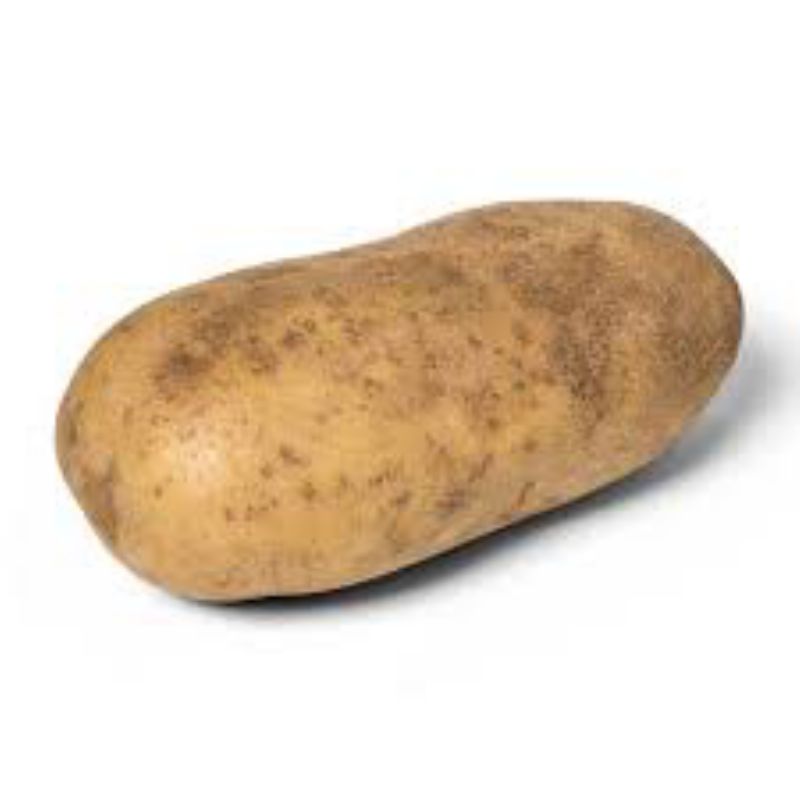 POTATO RUSSET 10 OZ #2 CS= 1 / 50#