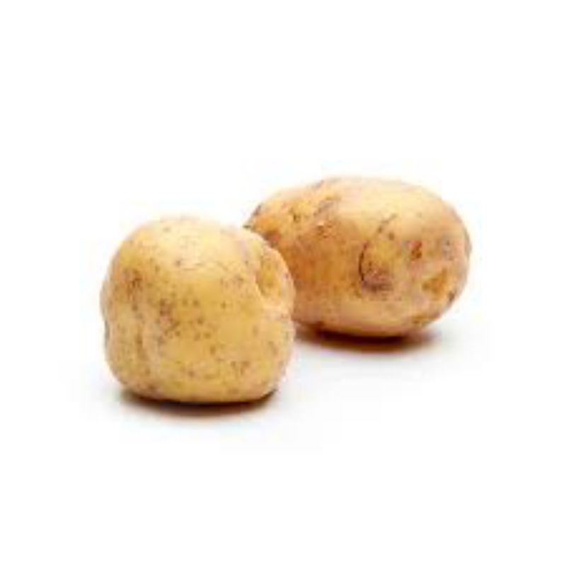 POTATO GOLD B SIZE
