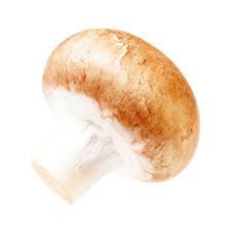 MUSHROOM LARGE 3" PLUS 10#