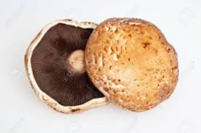 MUSHROOM PORTABELLA CAP 4-5 INCH