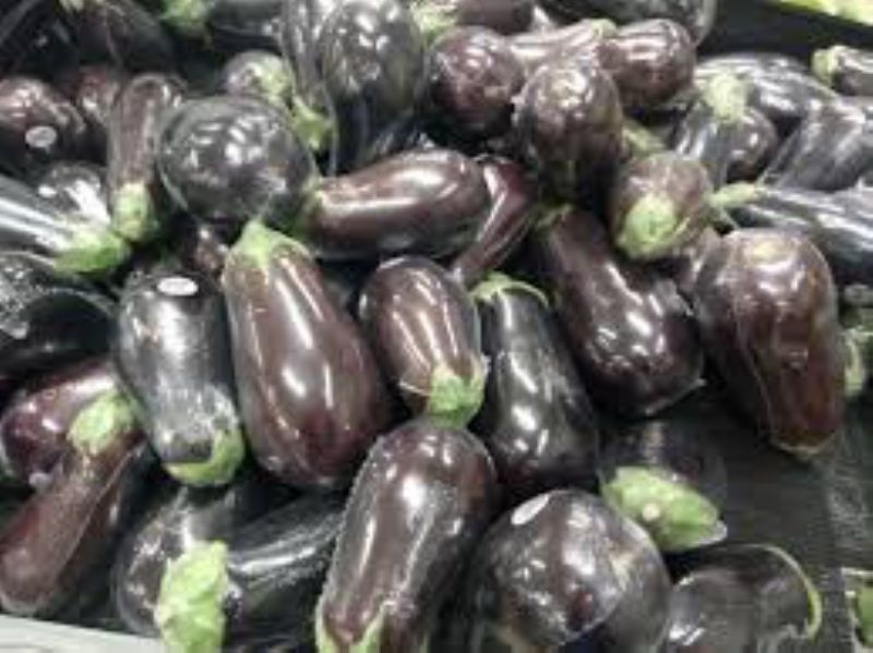 EGGPLANT PURPLE WRAPPED CS= 1 / 18 CT