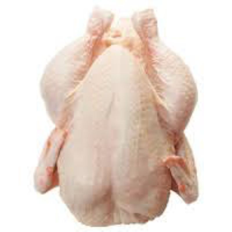 CHICKEN WOG 3.25-3.5 16 HD INJ