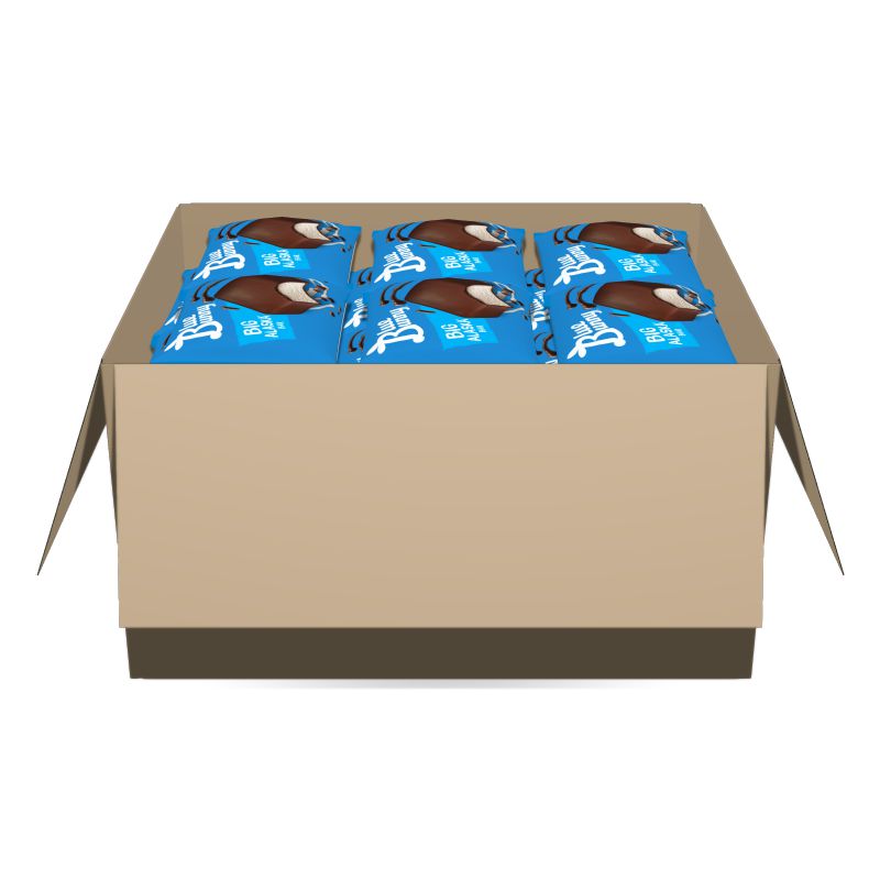 ICE CREAM BAR BIG ALASKA 24 5 OZ CT CASE
