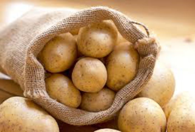 POTATO IDAHO RUSSET 100 CT 50 LB