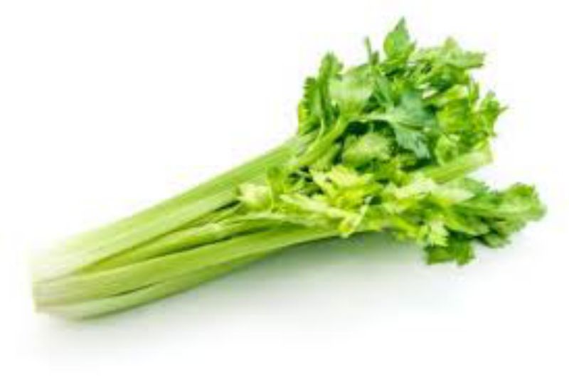CELERY SLEEVED