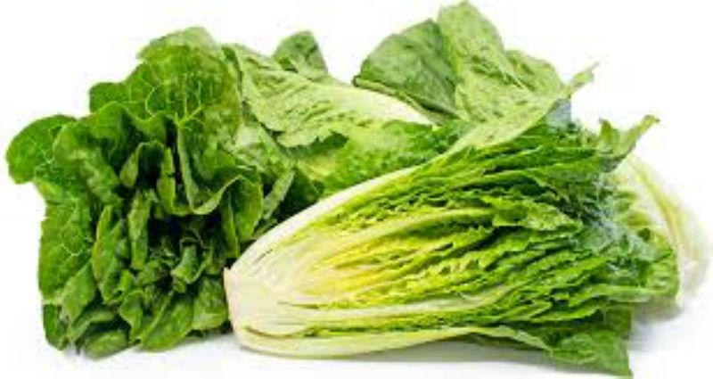 LETTUCE ROMAINE