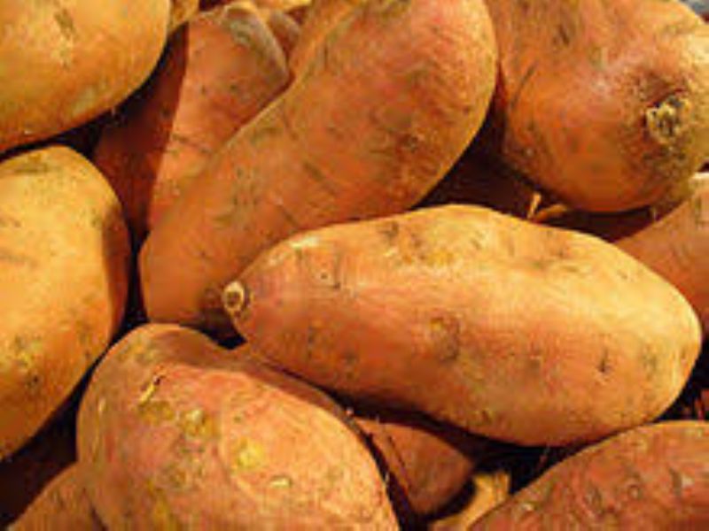 POTATO SWEET #1 5-9 OZ
