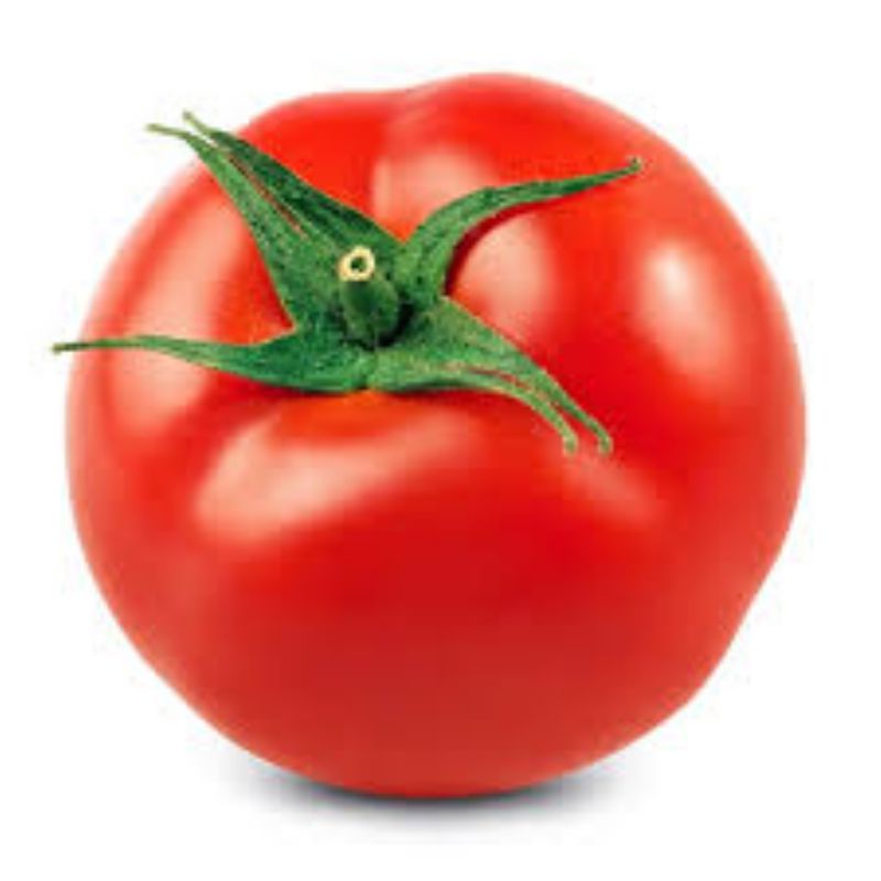 TOMATO BULK LARGE