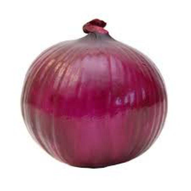 ONION RED JUMBO 25 LB