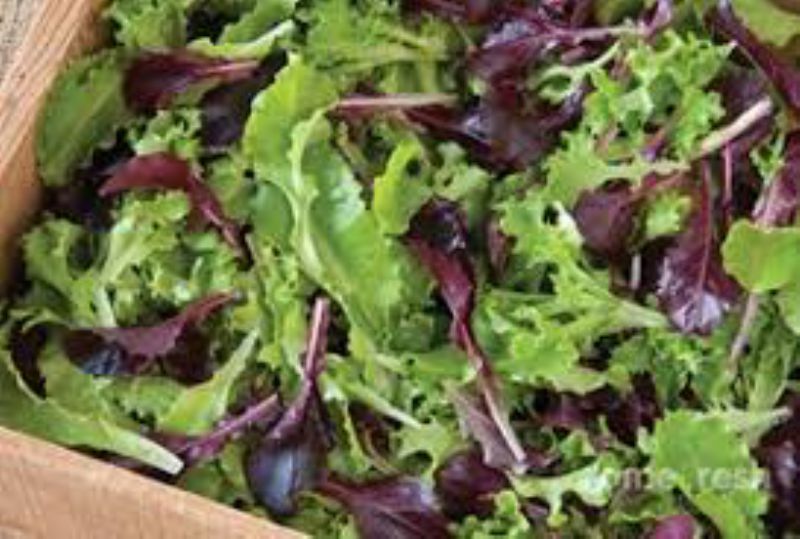 LETTUCE SPRING MIX 3 LB