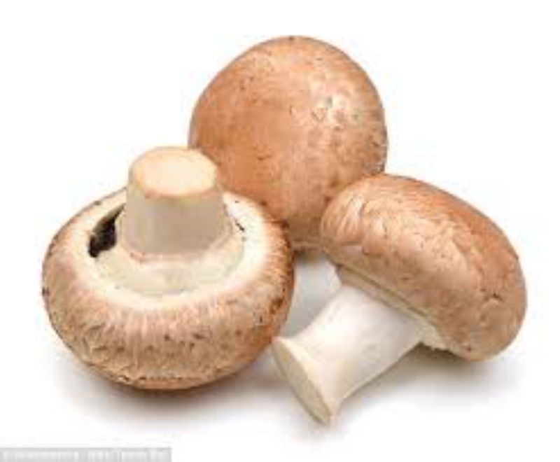 MUSHROOM WHITE WHOLE 10 LB