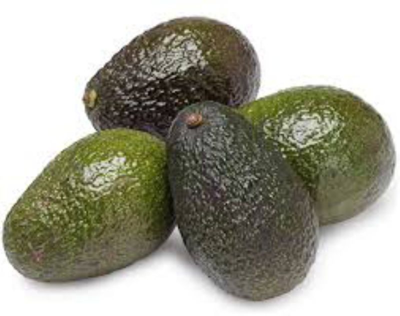 AVOCADO 40-60 CT