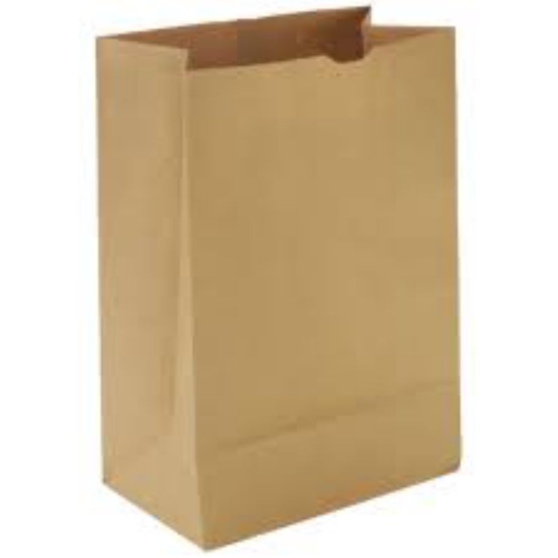 BAG BROWN KRAFT 1/6 BBL