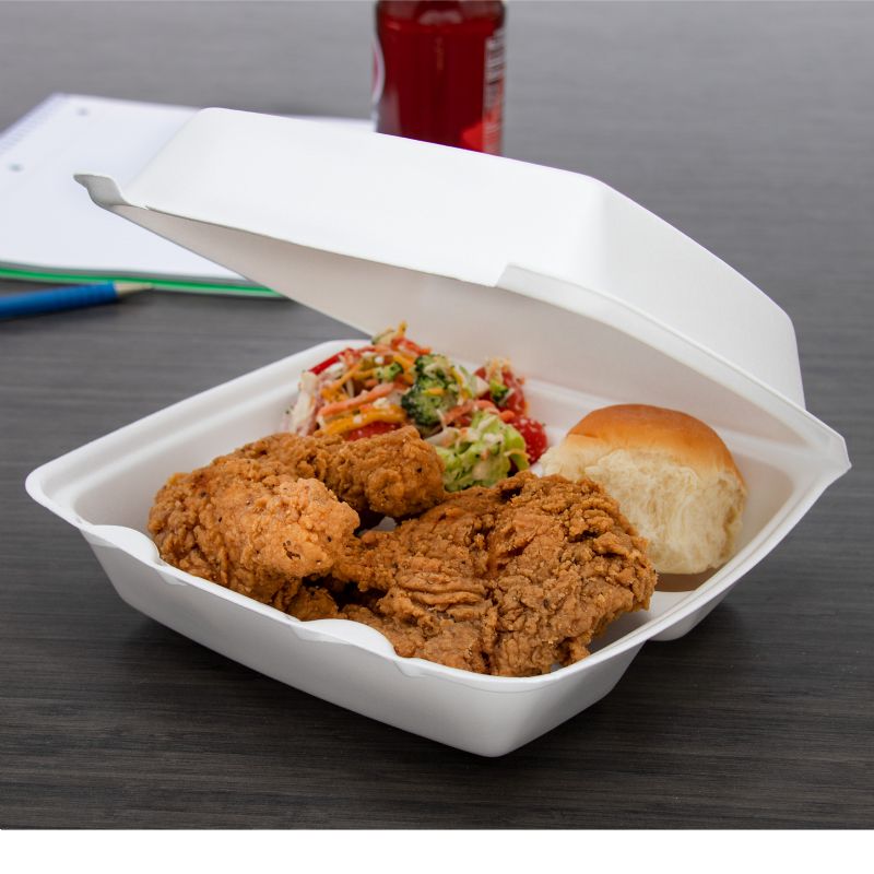 CONTAINER FOAM HNGD 3 COMP 8