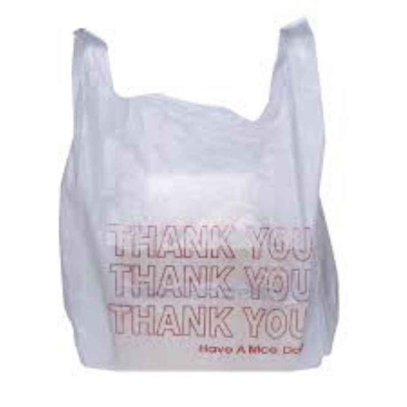 BAG TAKE OUT THANK YOU 11X6X21