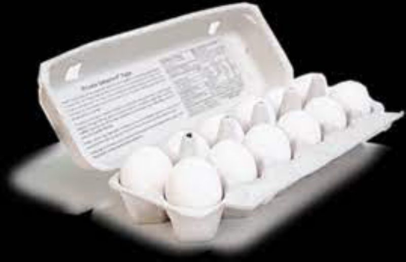 EGG LARGE CARTON GRADE AA USDA