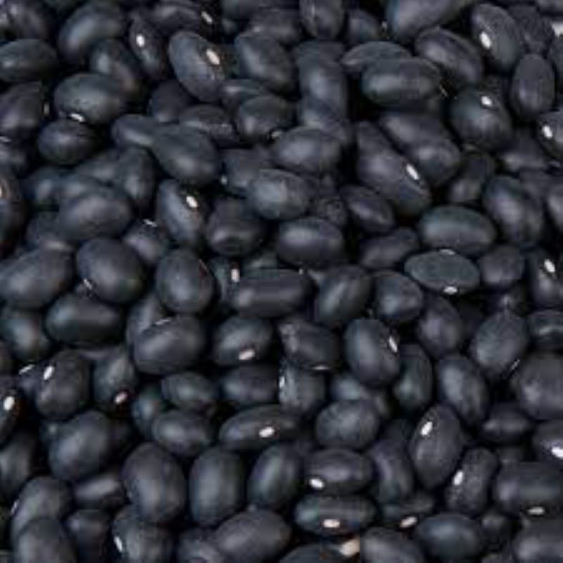 BEAN BLACK DRY