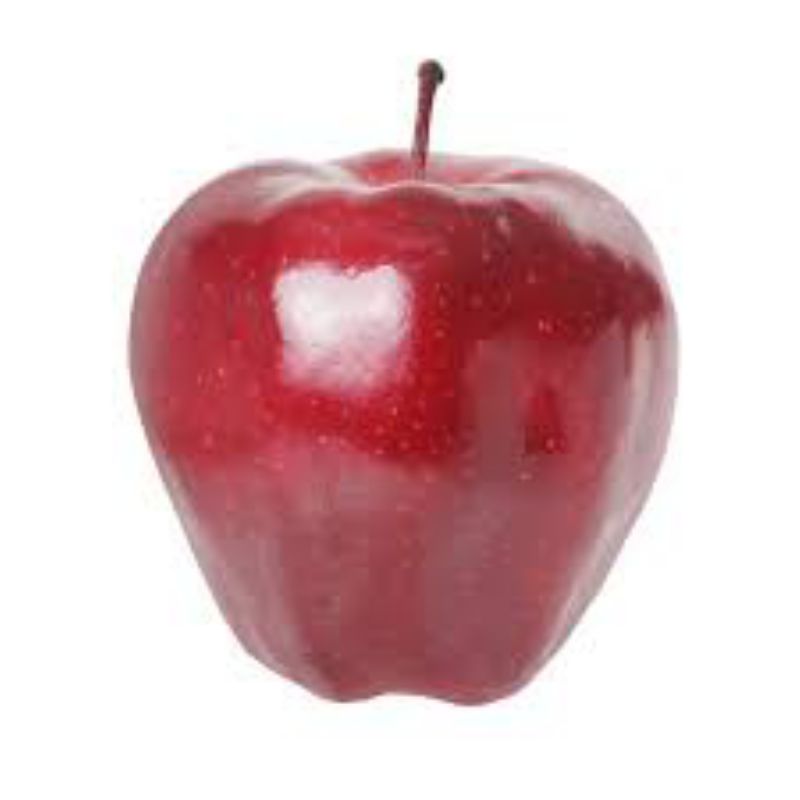 APPLE RED DELICIOUS FANCY