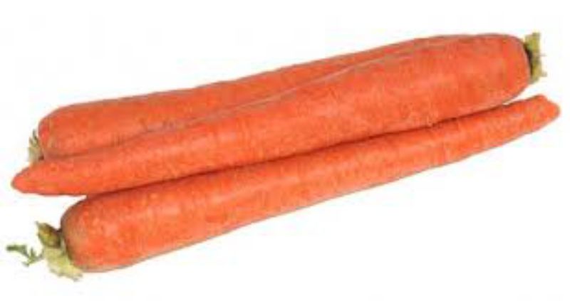 CARROT JUMBO CALIFORNIA