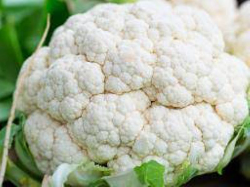 CAULIFLOWER WHITE 12 CT
