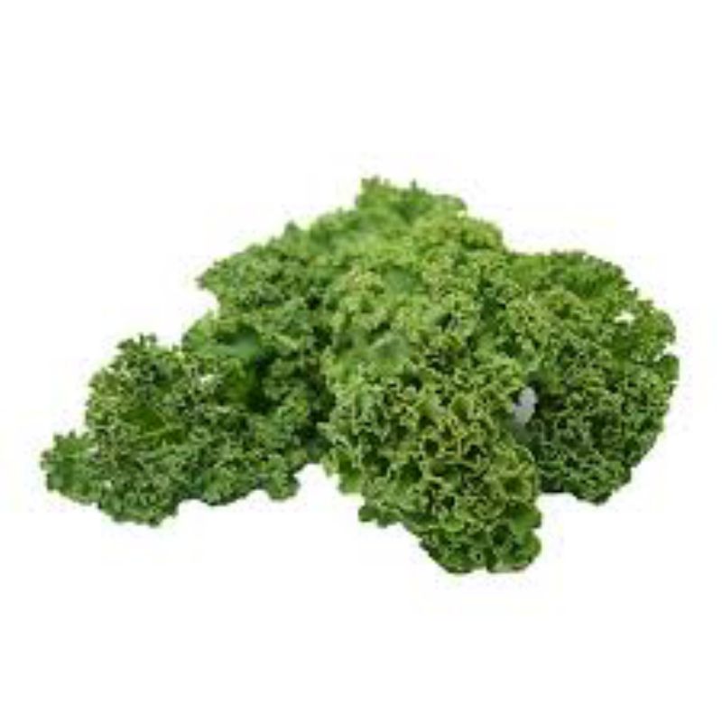 KALE GREEN CLEANED
