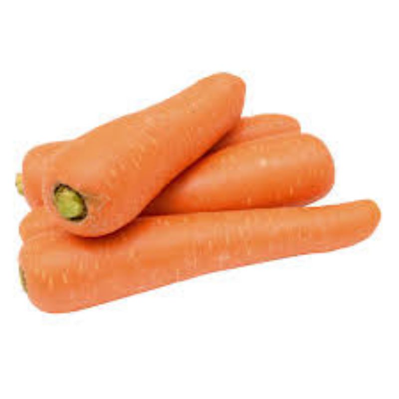 CARROT JUMBO UTILITY 50#