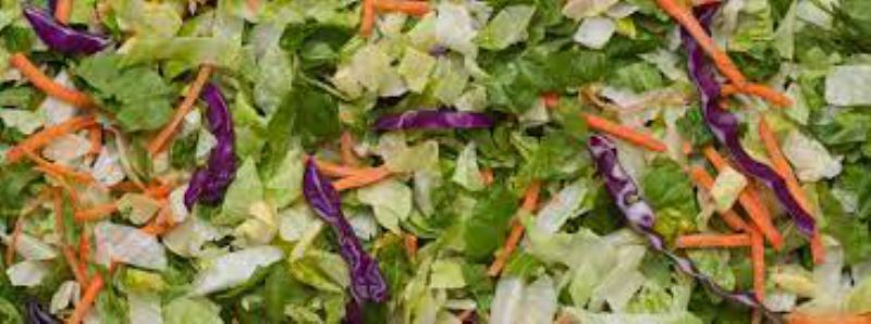 LETTUCE SALAD MIX SEP COLOR