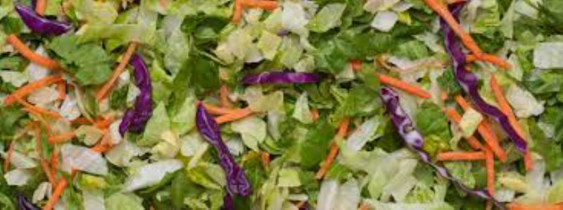 LETTUCE ICEBERG ROMAINE BLEND SEP COLOR