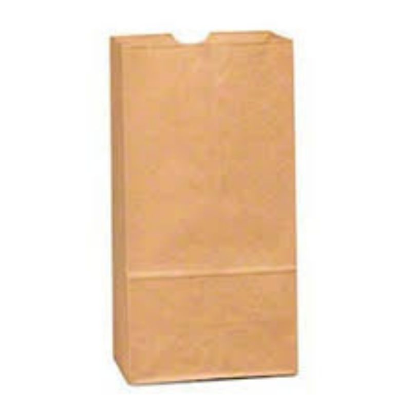 BAG PAPER KRAFT 4#
