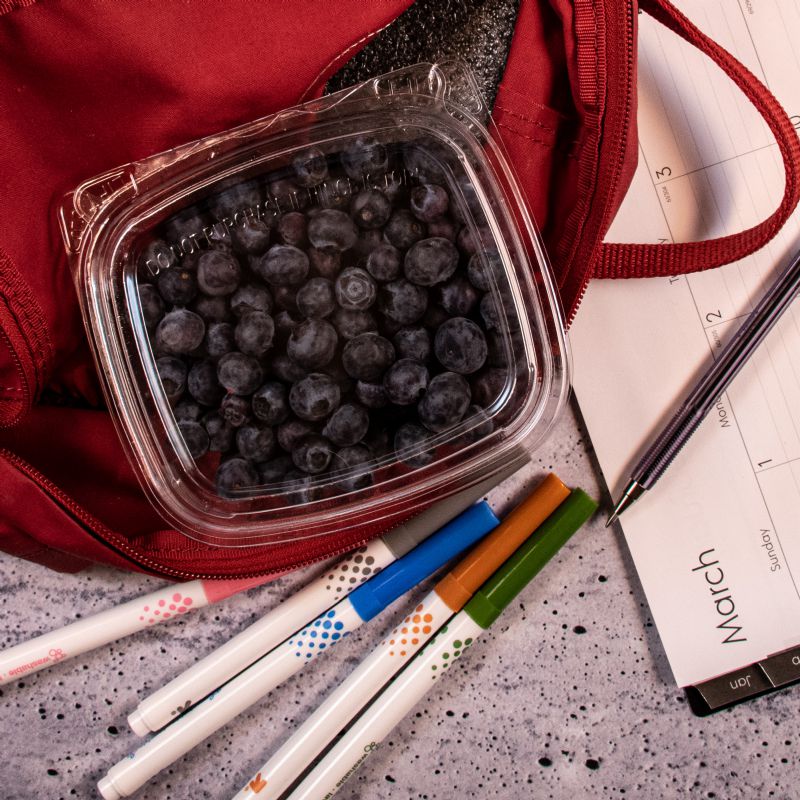 CONTAINER CLEAR HINGED 8 OZ