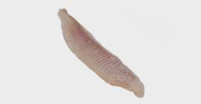 CATFISH SPLIT FILLET 3-5 OZ