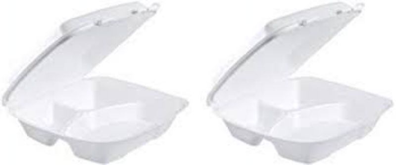 CONTAINER FOAM HNGD 3 COMP 9X9